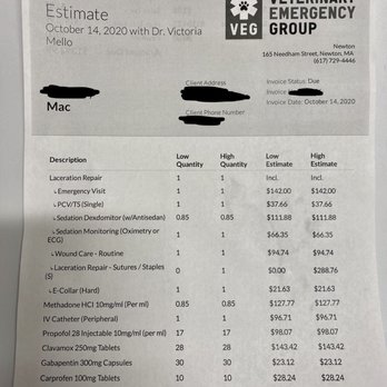 Veterinary Emergency Group - Part 1 Vet Emergency Vet bill - Emergency Pet Hospital Near Me - Newton, Massachusetts