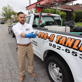 Tanler Termite and Pest Control - organic termite control - Pest Control Near Me - Los Angeles, California Tanler Termite and Pest Control - organic termite control - Pest Control Near Me - Los Angeles, California