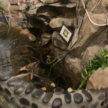 Sushi Hana - Fire hazard. - Japanese Near Me - Towson, Maryland Sushi Hana - Fire hazard. - Japanese Near Me - Towson, Maryland