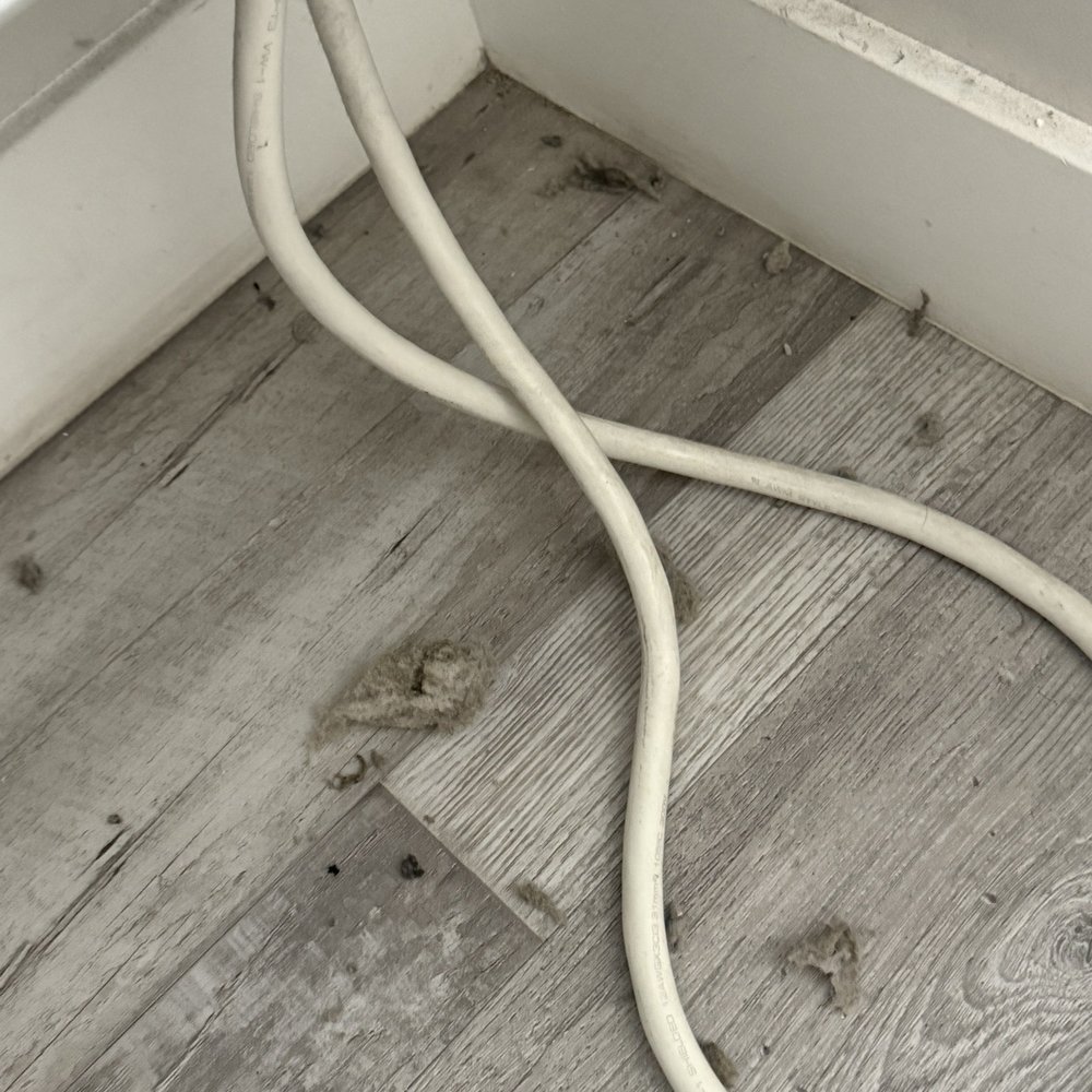 Costa Art Hotel - Huge clumps of lint and dirt on our hotel floors. Dirty walls - Hotels Near Me - Laguna Beach, California
