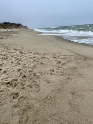 Coast Guard Beach by null