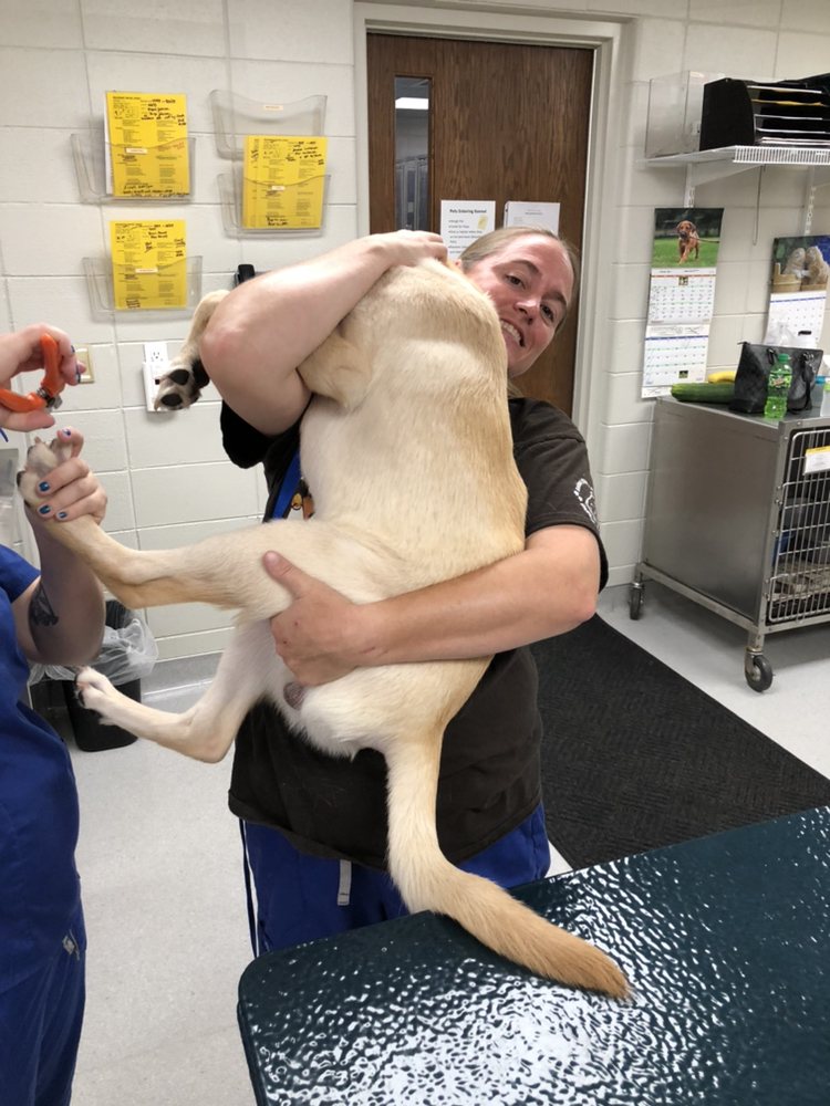 GLENWOOD VETERINARY CLINIC Updated August 2024 58950 Iowa Rd