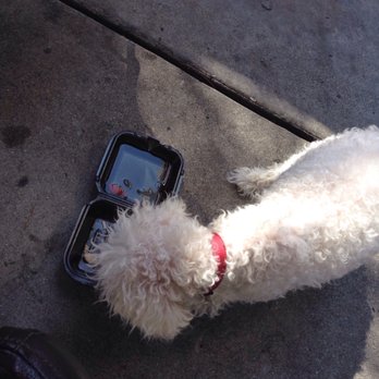Cosmo Restobar - Dog friendly - New American Near Me - Pomona, California