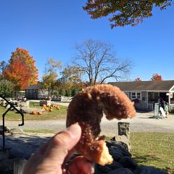 Butternut Farm - Best cider donut in the world