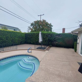 Pearloga Tree service - Before are overgrown and unmanaged hedges. - Tree Services Near Me Pearloga Tree service - Before are overgrown and unmanaged hedges. - Tree Services Near Me