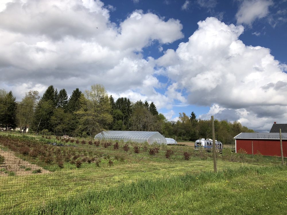 PORCO HOMESTEAD FARMS 12 Photos 301 State Rte 32 S, New Paltz, New