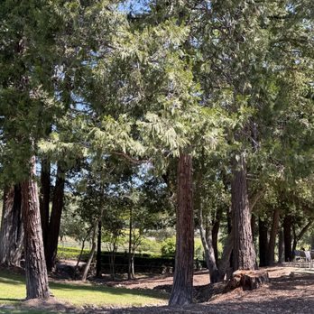 Lancaster Estate - Outside view - Wine Tasting Room Near Me - Healdsburg, California