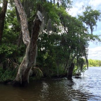Annie Miller's Swamp Tours & Charters - Tours Near Me - Houma, Louisiana Annie Miller's Swamp Tours & Charters - Tours Near Me - Houma, Louisiana