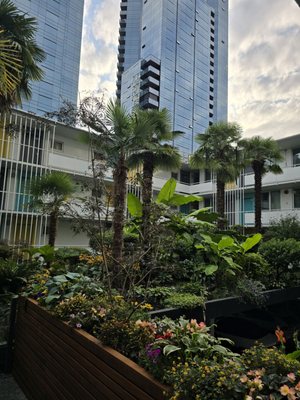 The Burrard by null