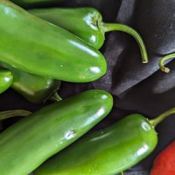 Tara's Farm - Mild Jalapeños  or Halahpeenous either wich way you pronounce it, it sure is everyones favorite.