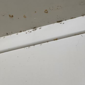 California Property Services - Black mold Ramona Ave - Property Management Near Me - Pismo Beach, California California Property Services - Black mold Ramona Ave - Property Management Near Me - Pismo Beach, California