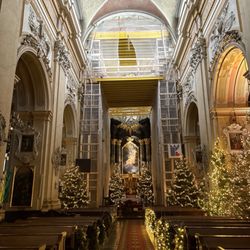 Bazylika Św. Michała Archanioła na Skałce - Nave