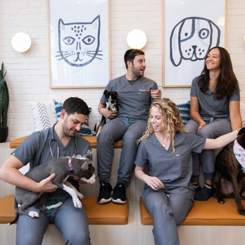 Bond Vet - Seaport - Bond Vet Team members - Veterinarians Near Me - Boston, Massachusetts Bond Vet - Seaport - Bond Vet Team members - Veterinarians Near Me - Boston, Massachusetts