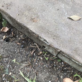 Rick's Tree Service - Gouged and scratches. - Tree Services Near Me - Cincinnati, Ohio