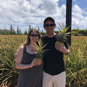 Kauai sugarloaf pineapple - Pineapples we picked ourselves! - Farmers Market Near Me
