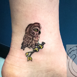 Owl tattoo