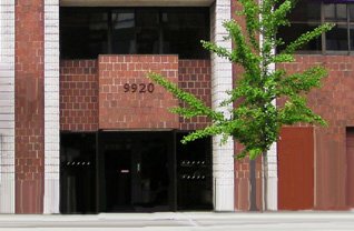 Healthcare Associates in Medicine