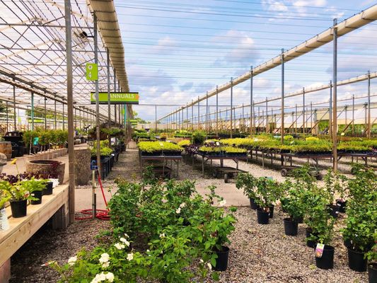 Sanders Nursery Broken Arrow