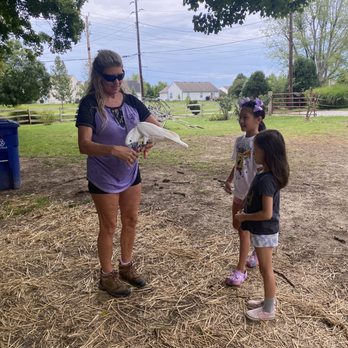 City Ranch - Horseback Riding Near Me - Indianapolis, Indiana