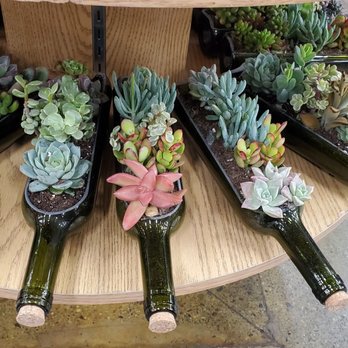 Trader Joe's - Grocery Near Me - Santa Rosa, California Trader Joe's - Grocery Near Me - Santa Rosa, California