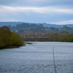Mad River Bridge - View of the bridge from across the river