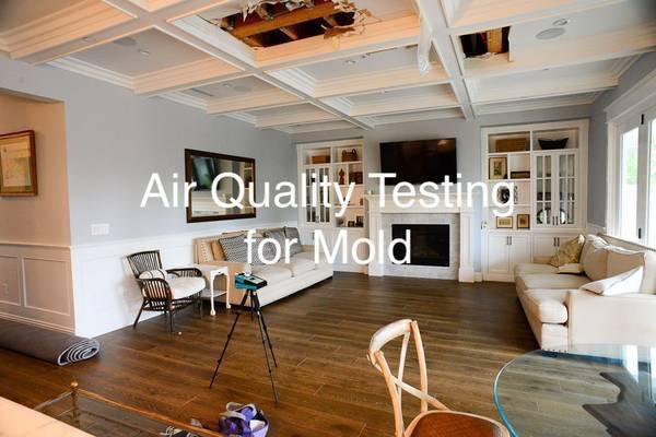 The Mold Stopper - mold inspector in North Las Vegas, NV