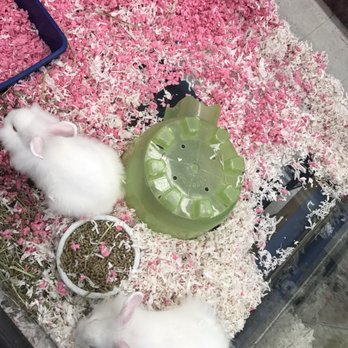 Pets Plus - Pet Stores Near Me - Torrance, California