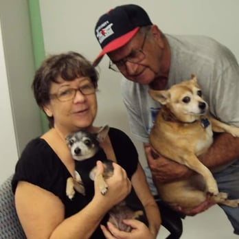 Animal Samaritans Veterinary Clinic Thousand Palms - Pinky, mom, dad and big sister, Rozee. - Pet Services Near Me - Thousand Palms, California Animal Samaritans Veterinary Clinic Thousand Palms - Pinky, mom, dad and big sister, Rozee. - Pet Services Near Me - Thousand Palms, California
