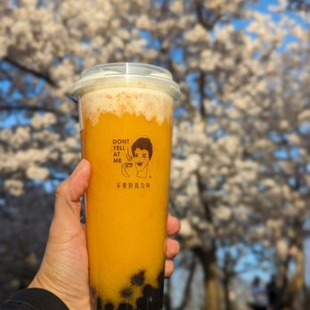 Don’t Yell At Me - Bubble Tea Near Me - Toronto, Ontario Don’t Yell At Me - Bubble Tea Near Me - Toronto, Ontario