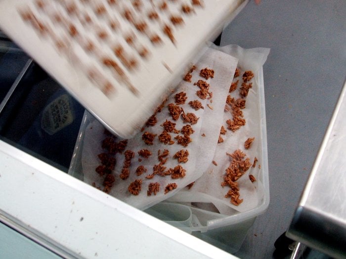 Slide of JT Roofing & Maintenance