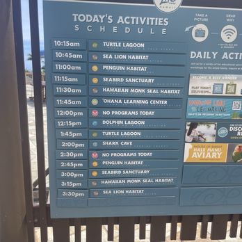 Aquatic Safety Instruction - This is a picture of the schedule for the day. - Swimming Lessons/Schools Near Me - Northridge, California