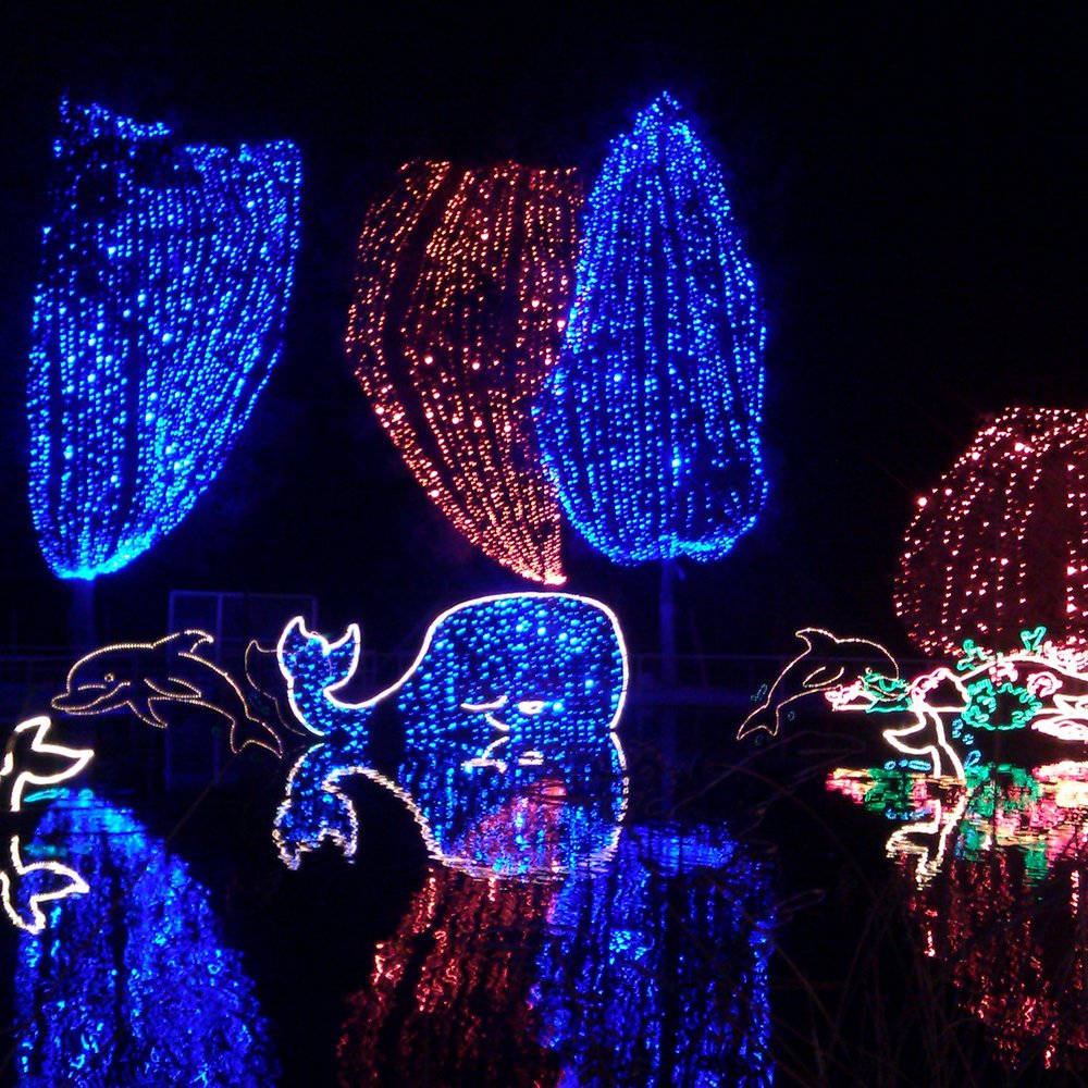 Holiday Lights at C.A.L.M. - Festivals Near Me - Bakersfield, California Holiday Lights at C.A.L.M. - Festivals Near Me - Bakersfield, California