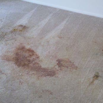 Esteamed Inc - Heavy staining before - Carpet Cleaning Near Me Esteamed Inc - Heavy staining before - Carpet Cleaning Near Me