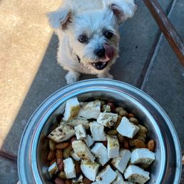 Little Paws Dog Meal Little Paws Dog Meal
