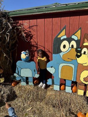 Jerry Smith Pumpkin Farm by null