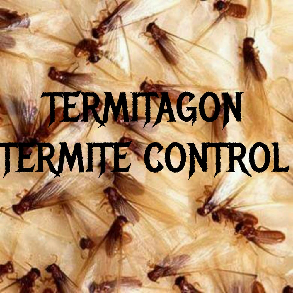 TERMITAGON TERMITE CONTROL Updated September 2024 28 Photos 12241