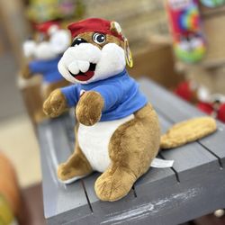 Buc-ee’s - Mascot