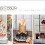 Photo of Colorful Mind Studio