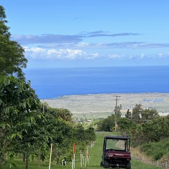 Monarch Coffee Farm - Coffee and a cart - Farms Near Me - Holualoa, Hawaii