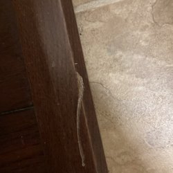 Tucker's Furniture & Appliance - Gouge in our wood floors
