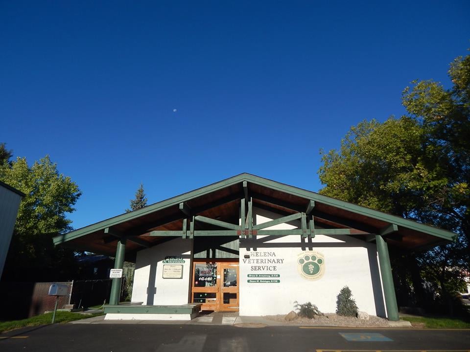 Veterinary Helena Montana at Mona Bhatt blog