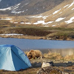 Denali Trekking Company