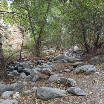 Switzer Falls - USDA Forest Service - Hiking Near Me - La Canada Flintridge, California Switzer Falls - USDA Forest Service - Hiking Near Me - La Canada Flintridge, California