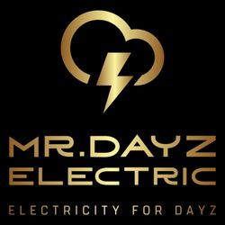 Mr.Dayz Electric