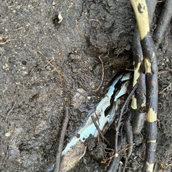 Acme Well Drilling - Broken PVC before Acme repaired it