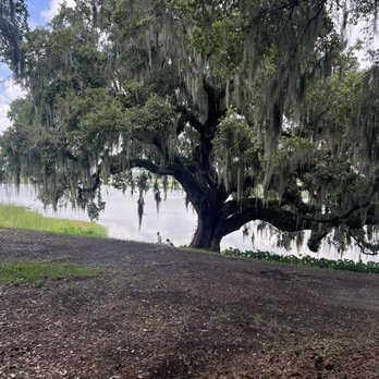 Middleton Place - Museums Near Me - Charleston, South Carolina Middleton Place - Museums Near Me - Charleston, South Carolina