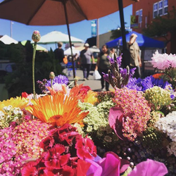 Henderson Center Farmer's Market - Good crop of fresh aromatic flowers
