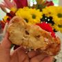 Photo of Arundel Donuts