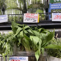 Barzini's - Ramps!!
