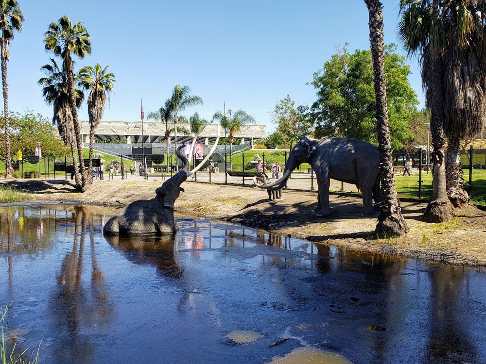 La Brea Tar Pits & Museum